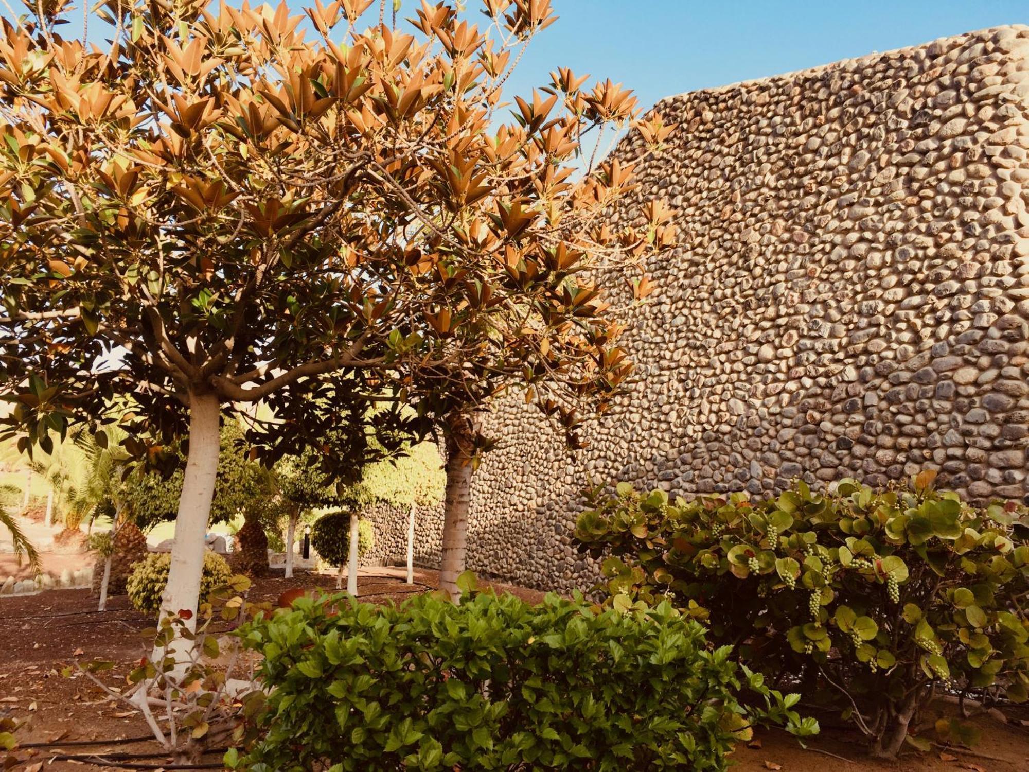 M&F Golf Views. Walk To Beach La Playa de Tauro Eksteriør billede